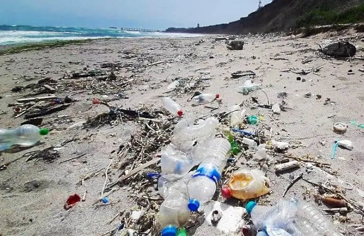 Акция за почистване на плажа в Шабла на 1 май