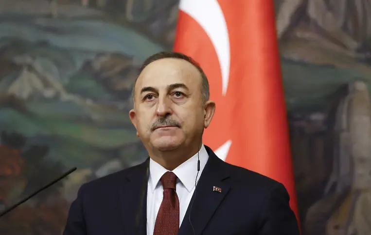 Турция обвини Германия в намеса във вътрешните й работи