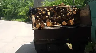 Иззеха камиона и товара на мъж, превозвал незаконно дърва