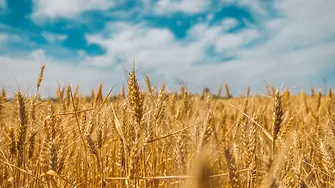 ООН: В Украйна са блокирани милиони тонове неизползвано зърно