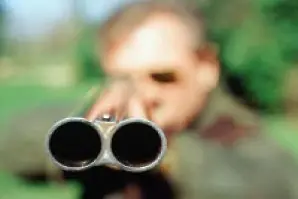 Мъж застреля с пушка куче в местността Кожухарска чешма край Плевен