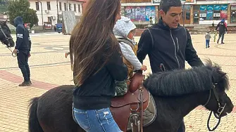 Благотворителна инициатива „На разходка с пони“ се проведе в Чепеларе 