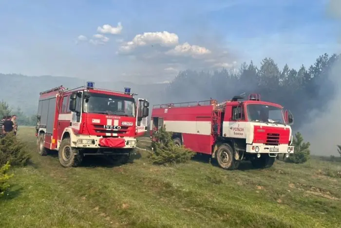 Над 50 горски и огнеборци спряха голям пожар в борова гора над Добринище