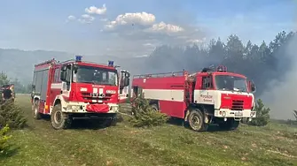 Над 50 горски и огнеборци спряха голям пожар в борова гора над Добринище
