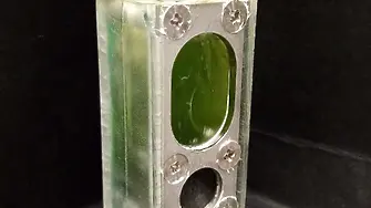 Създадоха компютър, който се задвижва от водорасли
