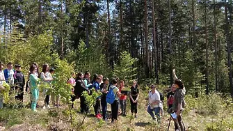 Ученици засадиха 250 дръвчета за 100 годишният юбилей на училището си 