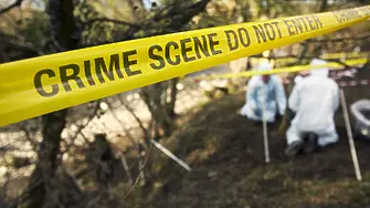 Откриха седем тела, заровени в гориста местност край София 