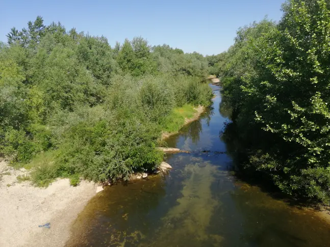 След намесата на Дарик: Почистват корито на река Стряма в Трилистник