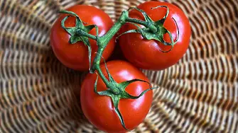 Британски учени създадоха домати с витамин Д