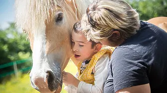 Хипотерапията - общуването с коне като лечение