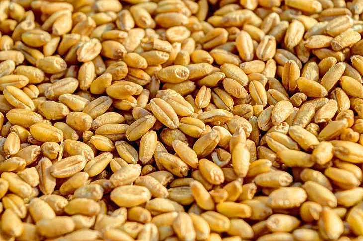 Команден център в Истанбул ще разпределя 20 млн. тона зърно за света