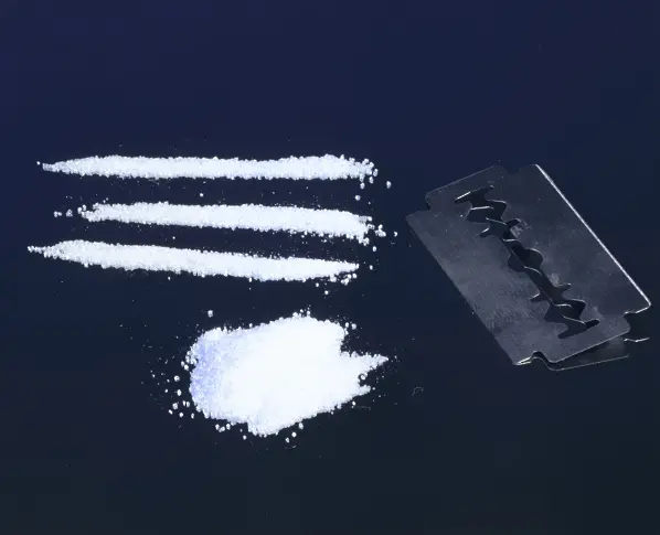 Полицията в Солун залови 300 кг кокаин