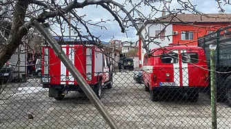 Пожарната в Кърджали отстрани паднали върху 3 коли клони