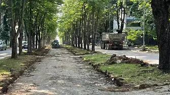 Започна ремонтът на алеите към  Врачанския стадион
