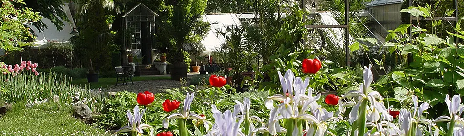  Университетски ботанически градини към СУ „Св. Климент Охридски” стават на 130 години