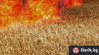 Подпалиха житна нива във видинско - изгорели са около 40 дка