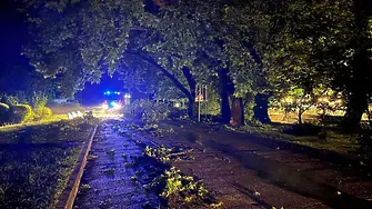 Силна буря затвори пътища в Сандански и остави Мелник без ток (снимки и видео)