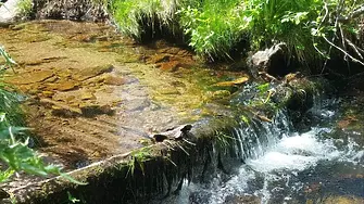 Мащабно зарибяване на реките в Родопите извърши ЮЦДП - Смолян 