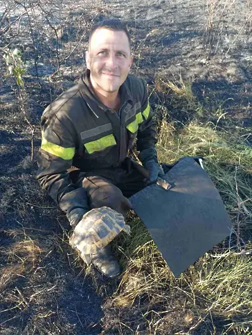 Огнеборец спаси костенурка при пожар, обхванал 800 дка площ