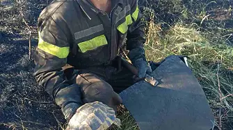 Огнеборец спаси костенурка при пожар, обхванал 800 дка площ
