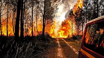 Смъртоносни горски пожари в южна Европа
