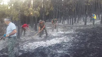 Само 3 горски пожара в Шуменско от началото на годината
