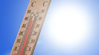 Рекордни жеги: 510 починали за една седмица в Испания 