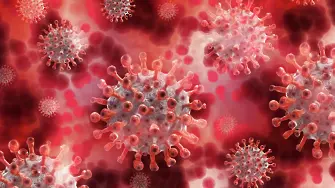 489 са нови случаи на коронавирус у нас