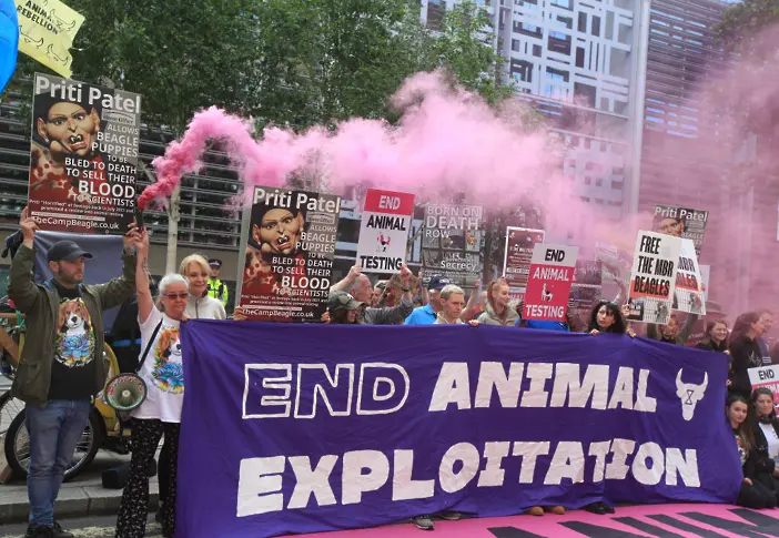 Над 840 хиляди европейци са подписали петиция срещу експериментите с животни