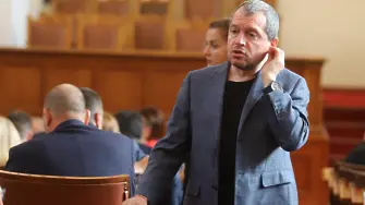 Тошко Йорданов: Заради Лена Бориславова два закона бяха отменени от КС