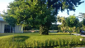 Скоро отварят музея с реплика на римска баня в Акве калиде, паркът е готов 
