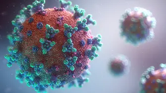 663 са новите случаи на коронавирус у нас