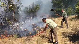 Горски служители, пожарникари и доброволци гасиха пожар край Голямо Чочовени