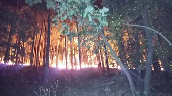 Разследват големия пожар в Панагюрско, издирват извършителя