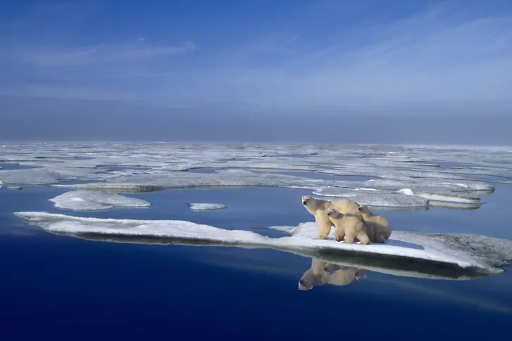 Арктика се затопля 4 пъти по-бързо