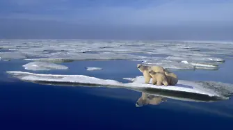 Арктика се затопля 4 пъти по-бързо