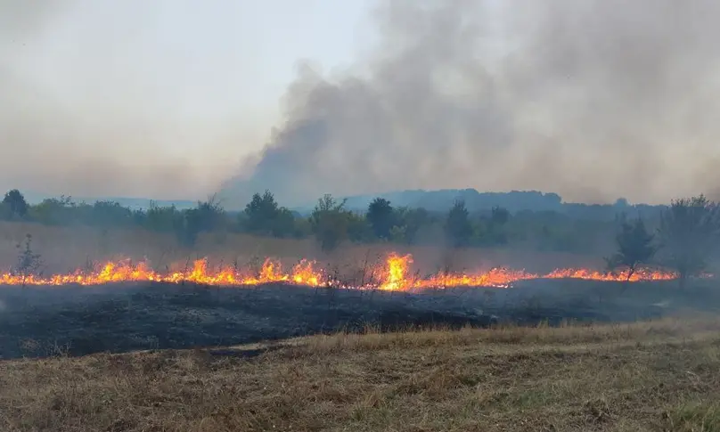 Продължават два от пожарите в Хасковско
