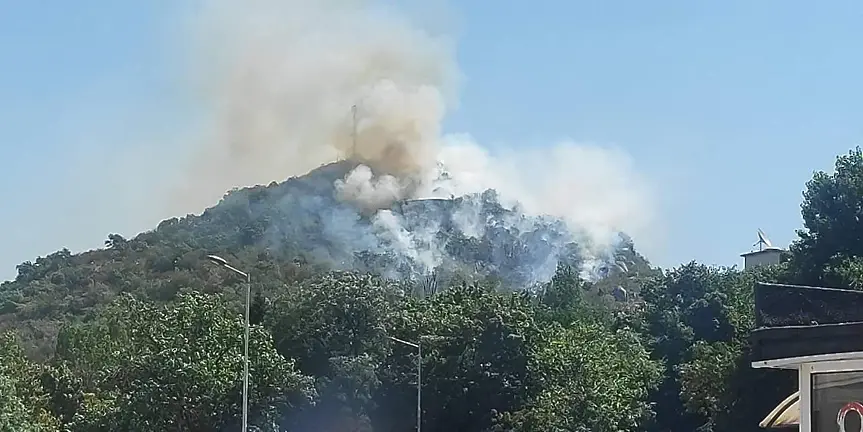 Три екипа пожарникари гасят запалени храсти и треви на Младежкия хълм (СНИМКИ)