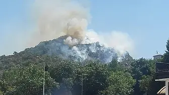 Три екипа пожарникари гасят запалени храсти и треви на Младежкия хълм (СНИМКИ)