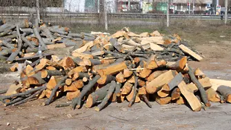 Земеделският министър забрани износа на дървесина за три месеца