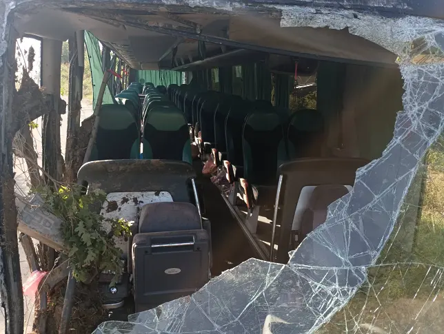 Седем деца от катастрофиралия автобус вече са в Сърбия