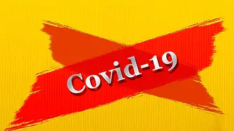 355 са новите случаи на Ковид-19 у нас