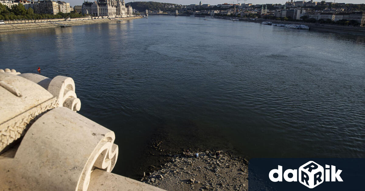 Сушата изпи Дунав спря корабоплаването, изгони птиците, рибите и дори