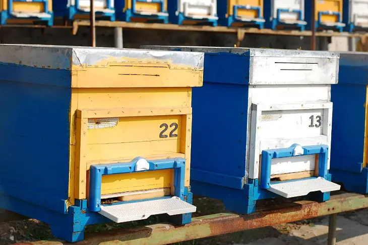 Хванаха крадците на 6 пчелни кошери от стопанство във врачанско село.
