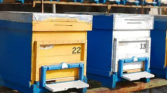 Хванаха крадците на 6 пчелни кошери от стопанство във врачанско село.
