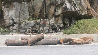 Сигнали за паднали дървета затворени пътни артерии и наводнени помещения