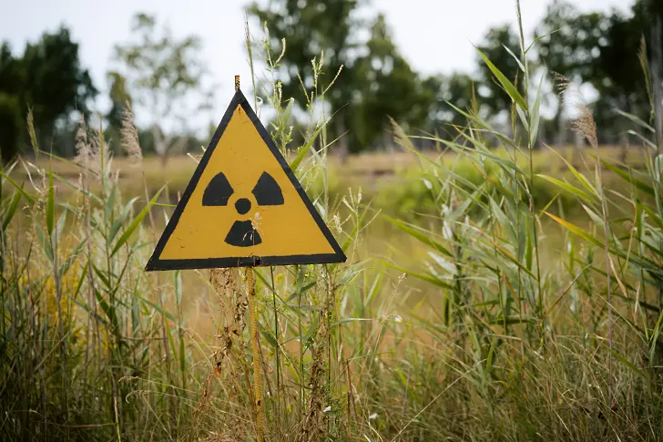 Радиоактивни гъби все още растат в Бавария