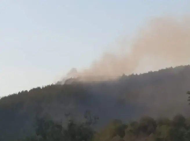 Пожарът край Стара Кресна е ограничен