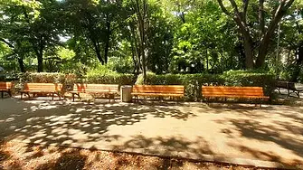 През истинско възраждане преминават парковете в „Източен“