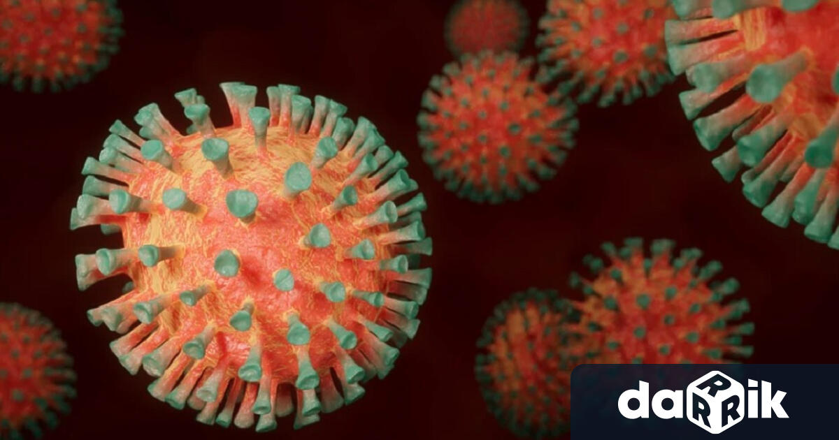 За последното денонощие новите случаи на коронавирус във Варна са